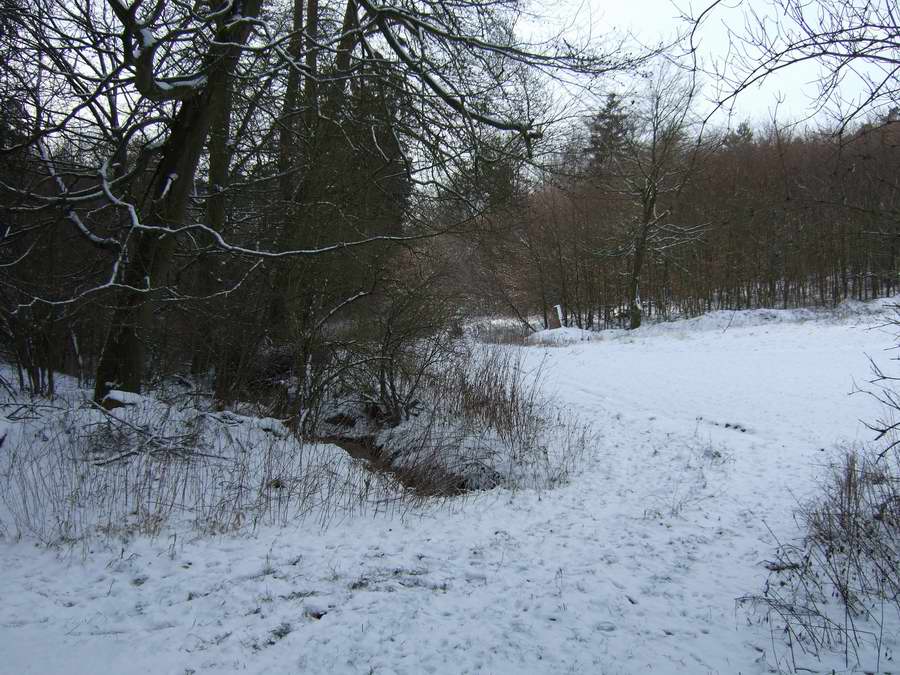 2010 004.jpg